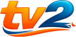 Logo tv2 di beranda